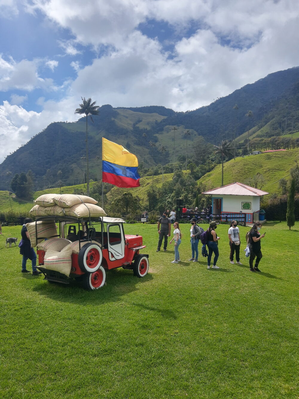 Foto Viaje Tour Cafetero desde Medellín